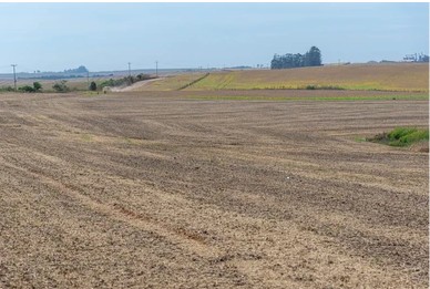 Bare Land – 7,024 Sqm